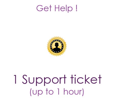 1 Support ticket